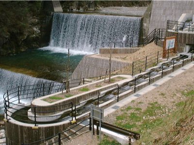 魚道スパイラル