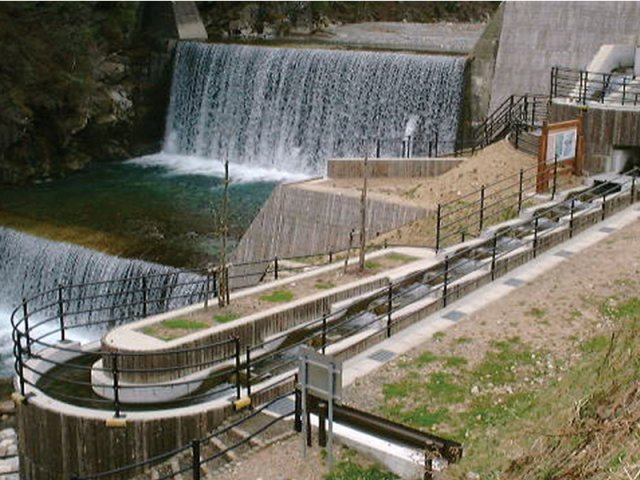 魚道SPIRAL | 河川