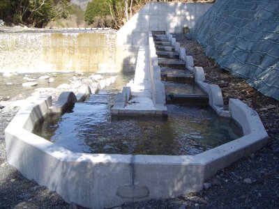 魚道スパイラル