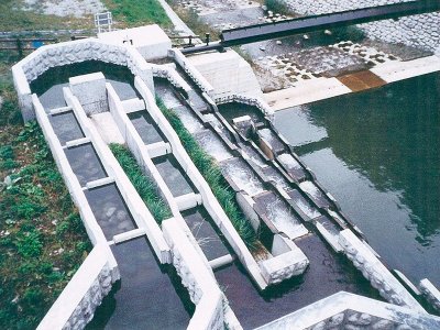 魚道スパイラル