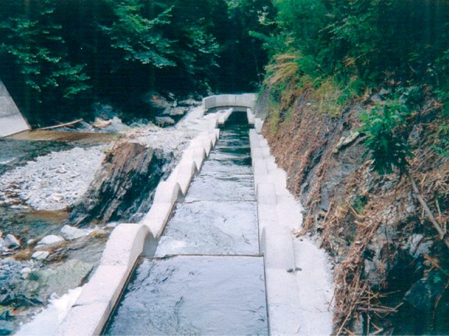 魚道NOBOLｰSS | 河川
