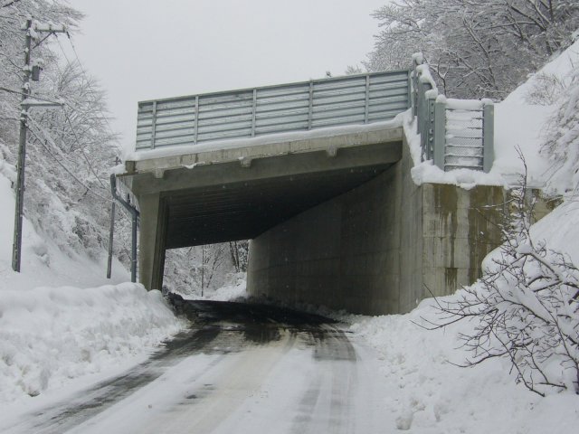 スノーシェッド | 防災
