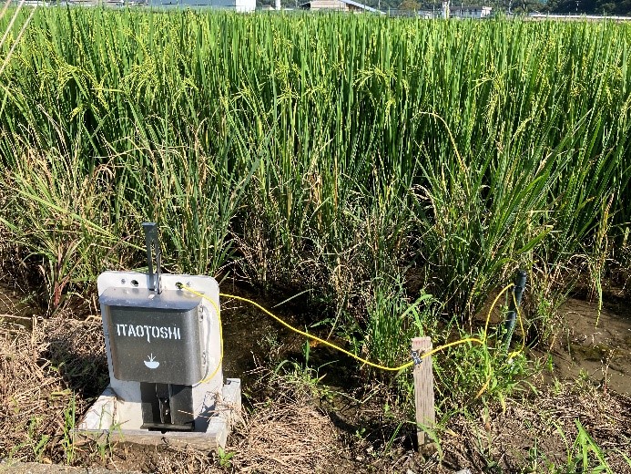 流域治水オフィシャルサポーター活動　 =NEW= | 開発