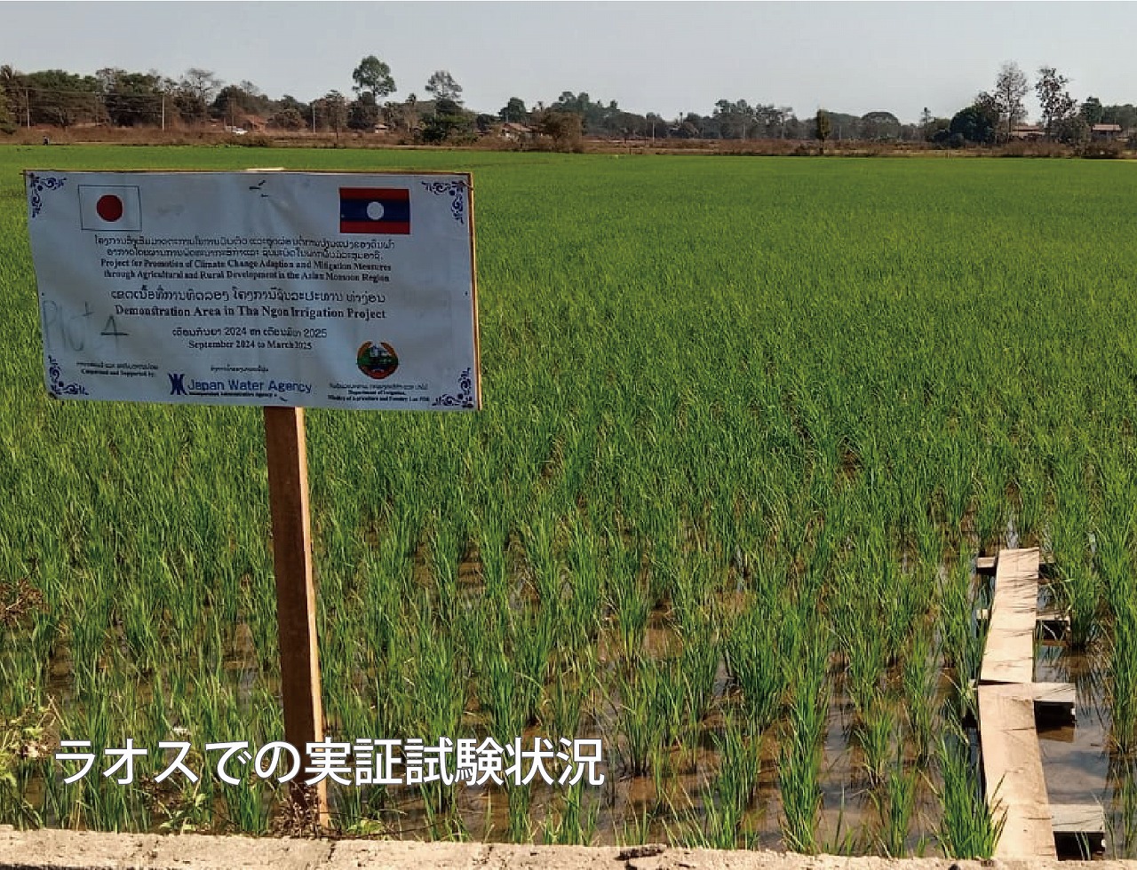 流域治水オフィシャルサポーター活動　 =NEW= | 開発