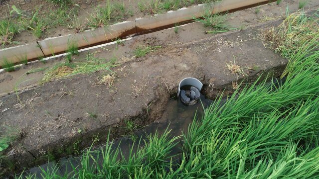田んぼダム器 | 水路