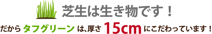 芝生は生き物です！だからタフグリーンは、厚さ15cmにこだわっています