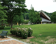 緑地の維持管理業務